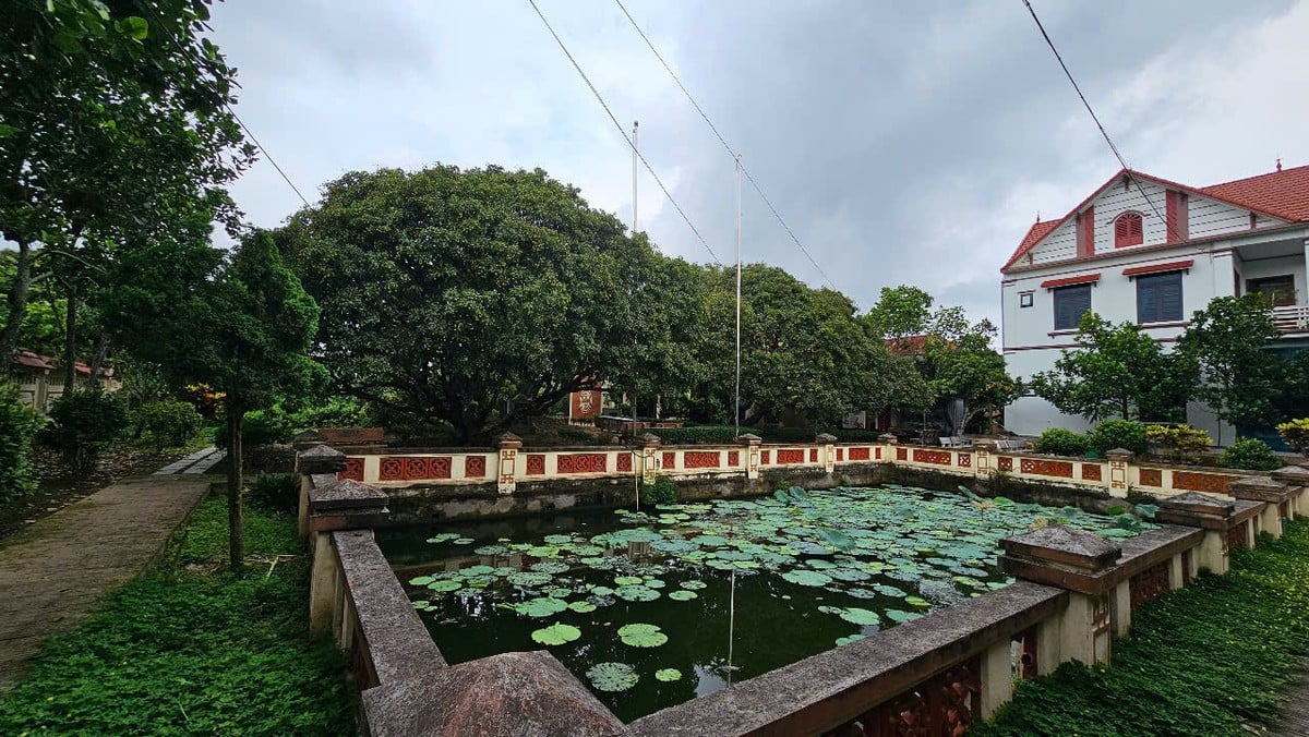 Khuôn viên nhà thờ cụ Hoàng Văn Cơm, nơi có cây vải tổ.