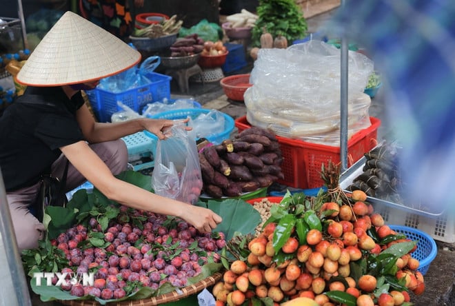 Các loại trái cây như vải, mận được bày bán nhiều dịp Tết Đoan Ngọ. (Ảnh: Hoàng Hiếu/TTXVN)