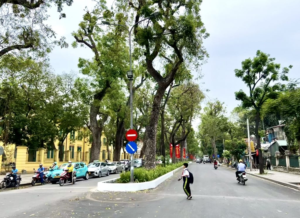 Dự báo thời tiết 5/6: Bắc Bộ có mây, gió nhẹ; Tây Nguyên, Nam Bộ mưa rào về chiều tối. Ảnh: Vân Lê