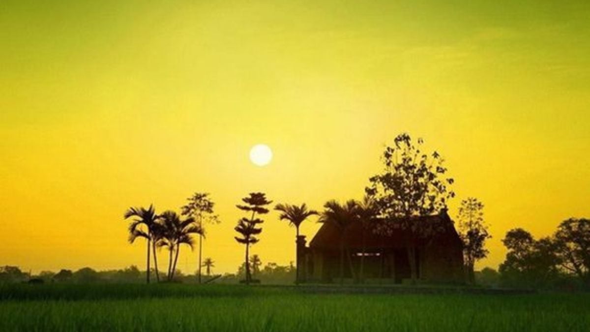 Một góc quê Việt. Ảnh minh họa