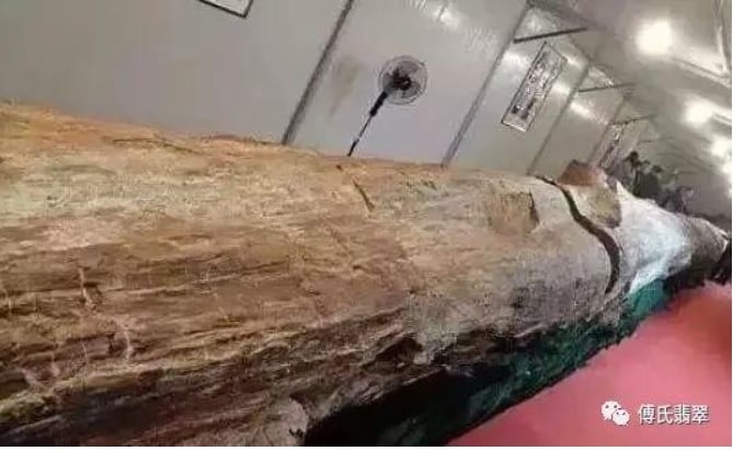 Cây gỗ hóa ngọc trị giá hơn 600 tỷ đồng. Ảnh: Sohu