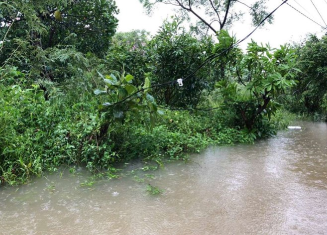 Vị trí ông Hồ Văn Kỉnh bị điện giật tử vong - Ảnh: Báo Lao Động