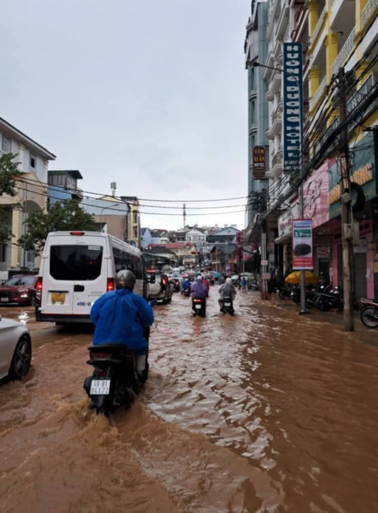Nhiều tuyến đường trung tâm TP Đà Lạt ngập cục bộ.