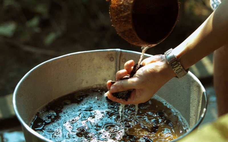 Gội đầu bằng thảo mộc ngày càng được nhiều người tin dùng nhờ thành phần tự nhiên, dịu nhẹ và ít hóa chất.