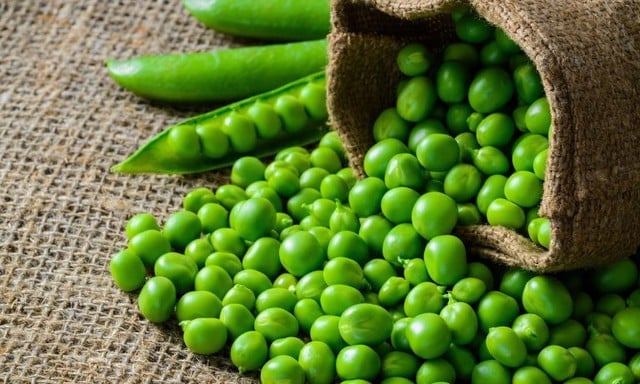Đậu Hà Lan là nguồn cung cấp axit folic tuyệt vời