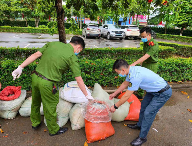 Các lực lượng chức năng tiến hành xử lý và tiêu hủy theo quy định - Ảnh: Báo Pháp luật +