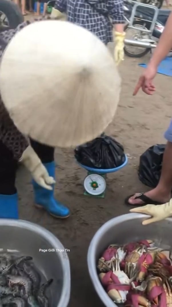 Mạng xã hội lan truyền đoạn video dài gần 5 phút, với nội dung du khách bức xúc khi mua hải sản của một người phụ nữ bày bán trên bãi biển Sầm Sơn, Thanh Hóa nhưng bị cân thiếu - Ảnh: VietNamNet