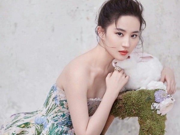 Ảnh minh họa: Internet
