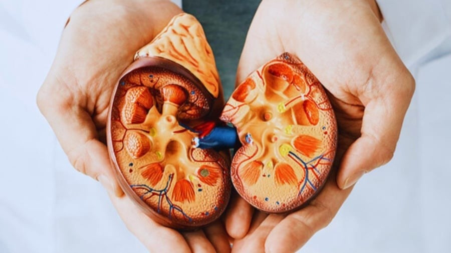  7 dấu hiệu vào buổi tối cảnh báo suy thận, đừng chủ quan kẻo chạy thận cả đời