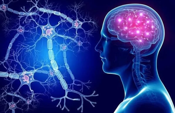 Suy thận mạn có thể gây biến chứng thần kinh nếu không điều trị sớm