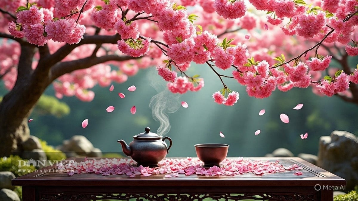 Người xưa chọn trồng mơ mai trong nhà chủ yếu là vì hy vọng những người trong gia đình có tinh thần bất khuất