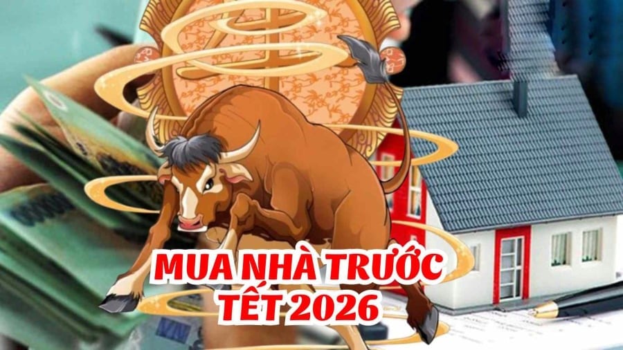 Tuổi trẻ của họ có thể bấp bênh, nhưng càng lớn tuổi, vận số càng ổn định.