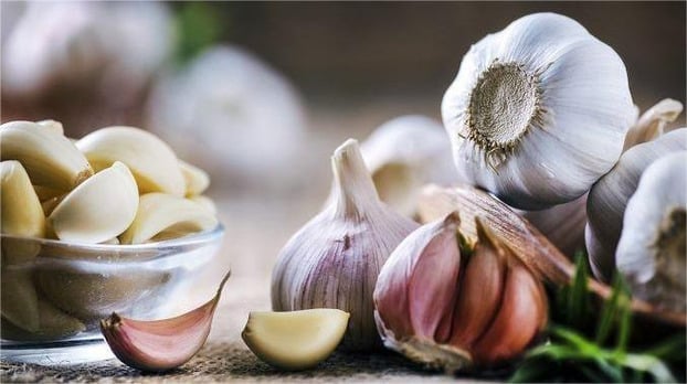 Tỏi không chỉ là gia vị mà còn là loại “kháng sinh” tuyệt vời đối với sức khỏe - ảnh minh họa