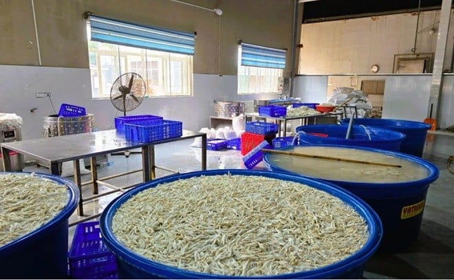  Số chân gà ngâm hóa chất bị phát hiện tại kho đông lạnh Thanh Bình.