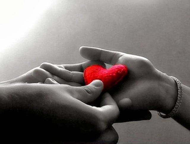 Tình cảm không giống như một món đồ có thể cho và nhận dễ dàng. (Ảnh: Sohu)