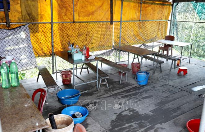 Một trong ba quán bán lòng lợn, tiết canh tại thôn Đồng Kỷ, xã Quỳnh An (Hưng Yên) - Ảnh: TTXVN