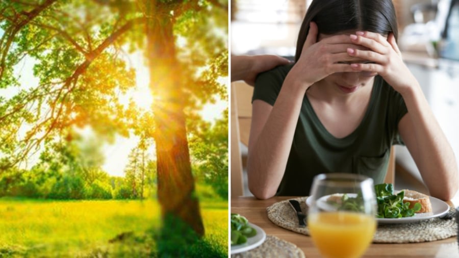 Chán ăn là tình trạng dễ gặp trong những ngày có thời tiết nóng nực như mùa hè.