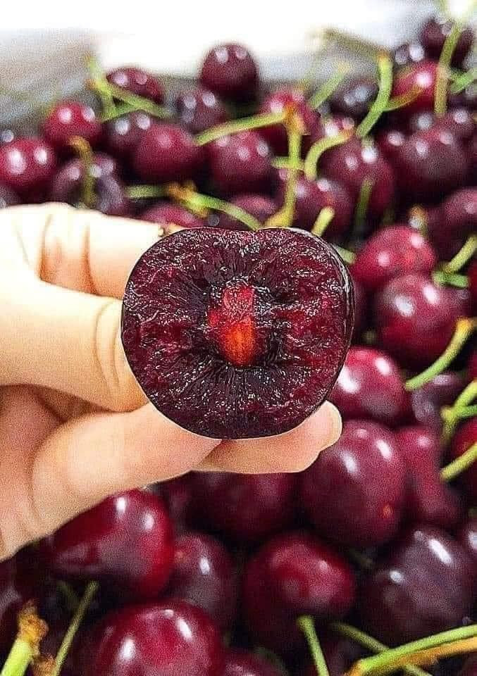  Cherry Mỹ mọng nước. Ảnh: Facebook