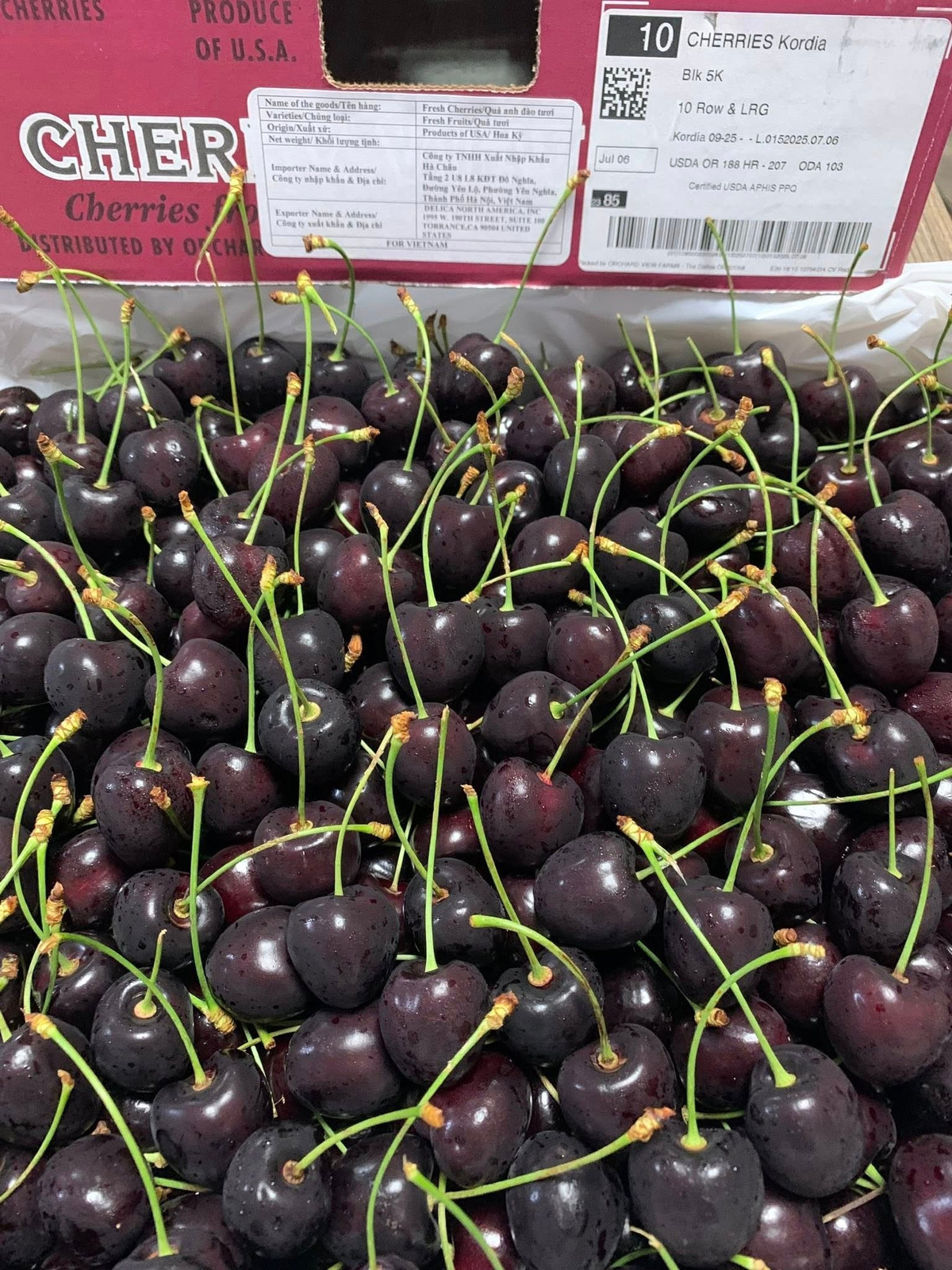  Cherry Mỹ trái to, căng mọng. Ảnh: Facebook