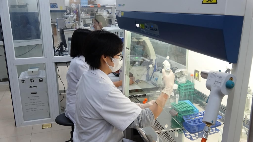 Điểm sàn nhóm ngành sức khỏe năm 2025 giảm mạnh