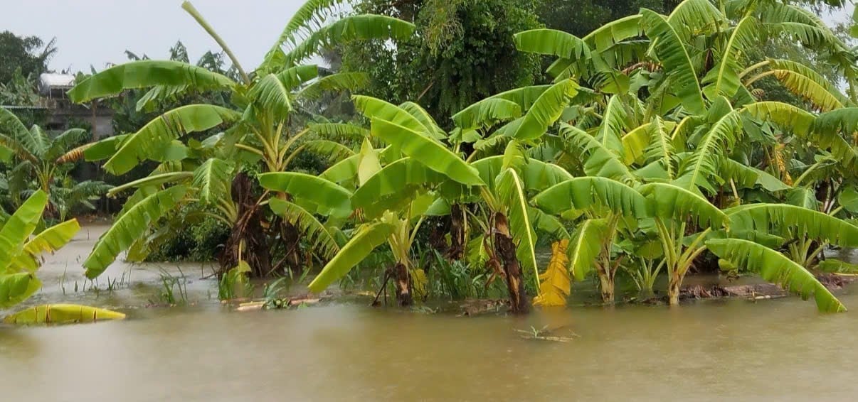 Nước ngập khoảng 1,5m tại xã Mậu Lâm