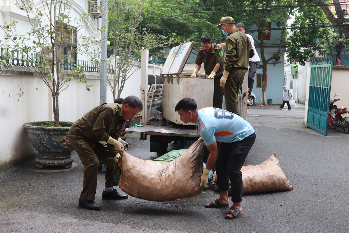 Cơ quan chức năng thu giữ tang vật và tiêu hủy.