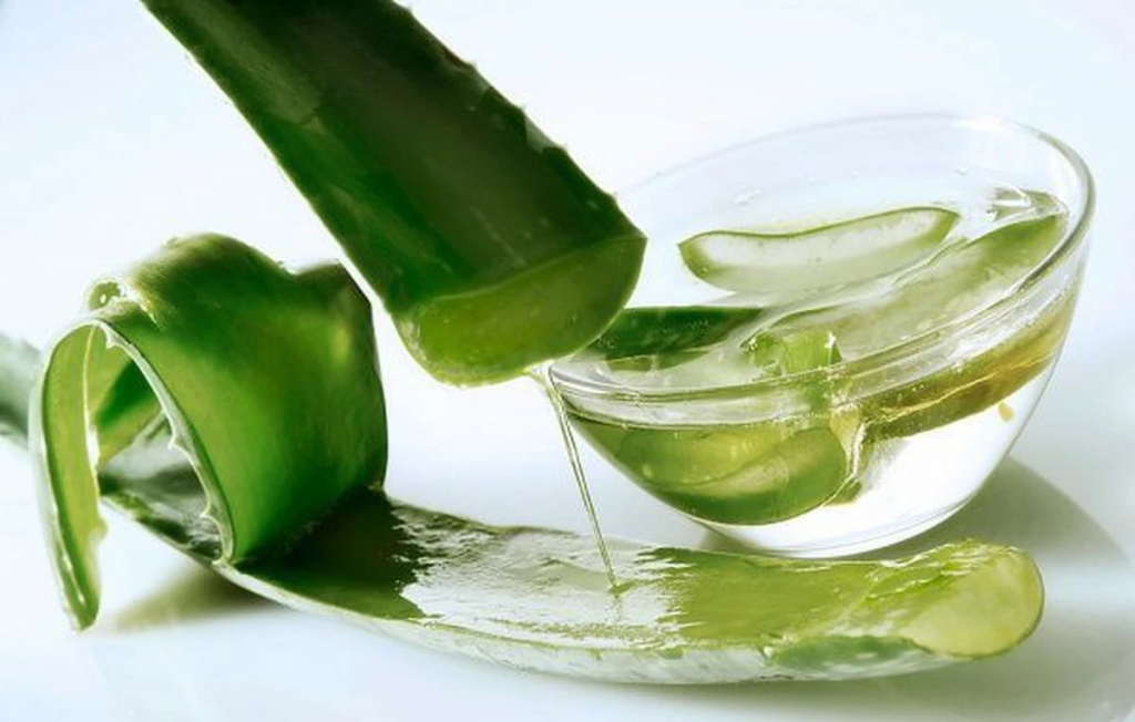  Lô hội có khả năng làm sạch sâu lỗ chân lông, ngăn ngừa mụn đầu đen, mụn viêm và mụn trứng cá hiệu quả.