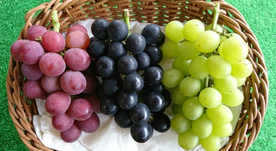  Resveratrol, hợp chất nổi bật nhất trong quả nho, được chứng minh có khả năng ức chế sự phát triển của tế bào ung thư, hỗ trợ phòng ngừa bệnh Alzheimer.