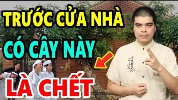  3 loại cây tránh trồng trước nhà kẻo hối hận