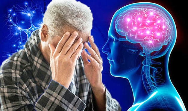 Việc tiêu thụ các thực phẩm không lành mạnh có thể tác động tiêu cực đến não, ảnh hưởng đến trí nhớ và làm tăng nguy cơ mất trí nhớ.  