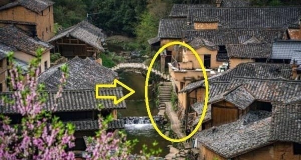  Trong xã hội, không hiếm người vì tham vọng danh lợi mà chọn con đường vi phạm pháp luật.