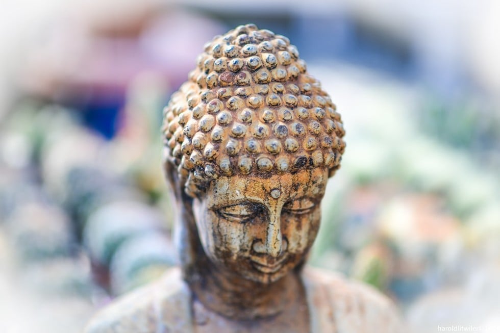  Nam Mô A Di Đà Phật 
