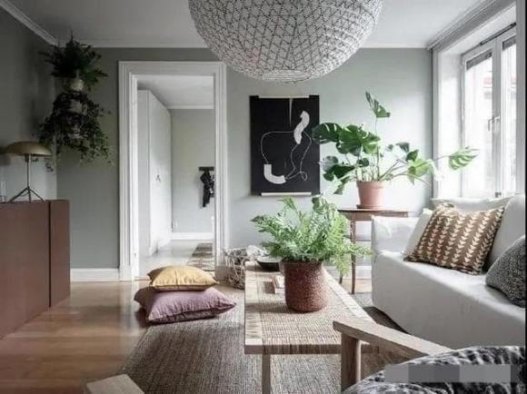  Chỉ cần đặt vài chậu cây xanh trong phòng khách, không gian sẽ trở nên tươi mới, tràn đầy sức sống.