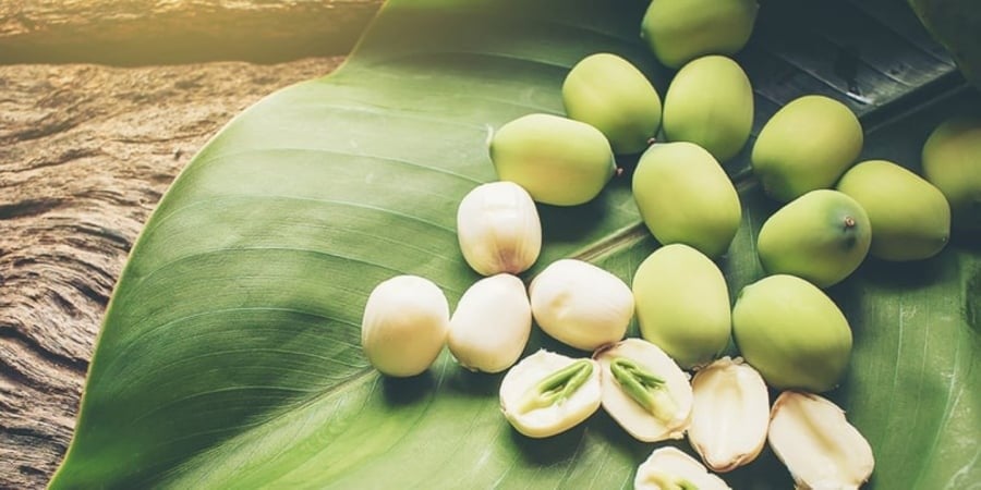  Người ta thường dùng tâm sen để pha trà