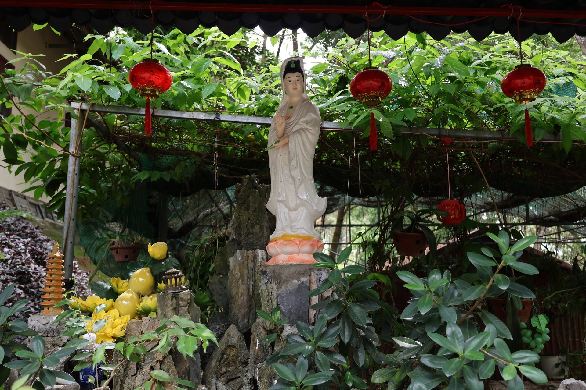  Dù ta có sống tốt thế nào vẫn không thể đẹp lòng tất cả nên hãy là chính mình, ai có nói gì thì tùy họ. Luôn học cách im lặng và buông bỏ thì mọi thứ sẽ bình yên.