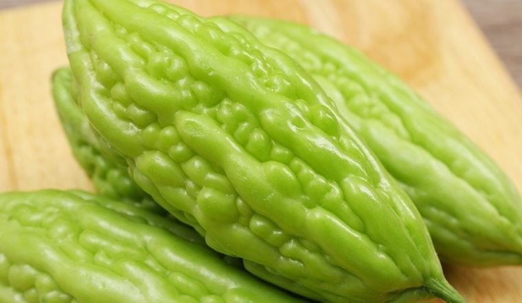  Bướp đắng có thể 