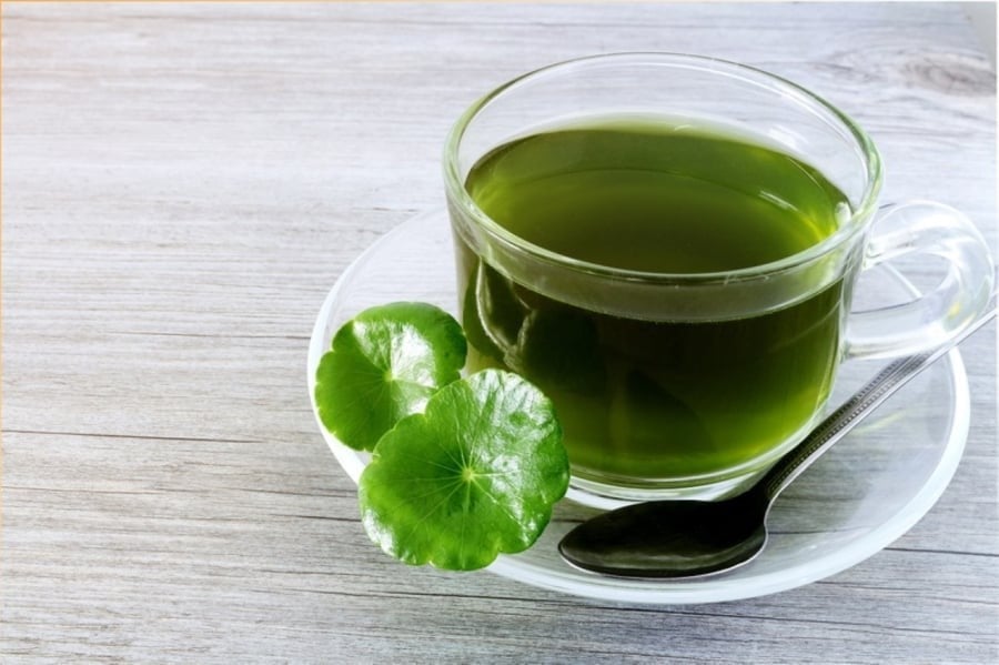  Nước rau má là lựa chọn tuyệt vời để làm mát cơ thể, giảm nhiệt