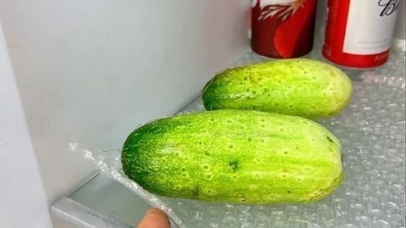  Mùa hè, chúng ta hay bảo quản trái cây và rau củ trong tủ lạnh để giữ độ tươi.