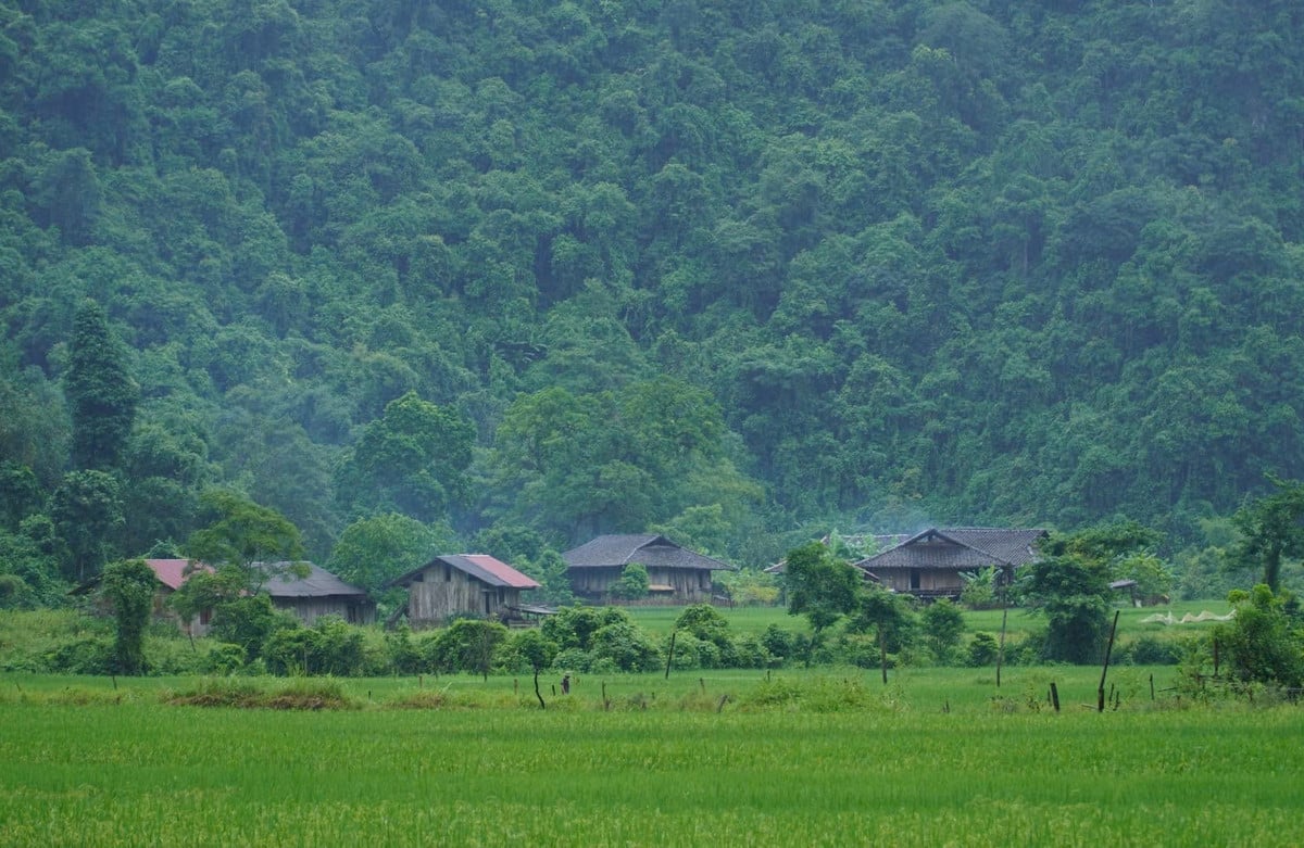  Ảnh Hoàng Vũ