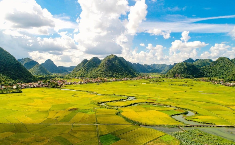  Ảnh Anh Tuấn