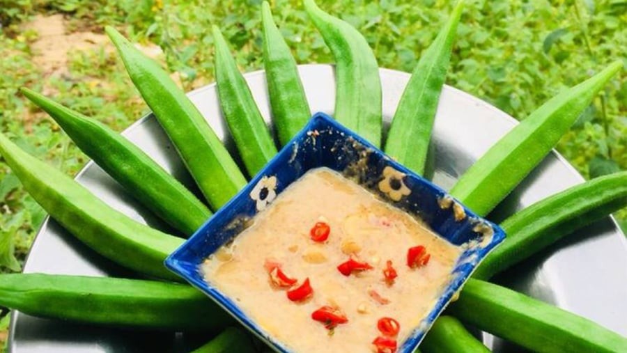  Ngoài hương vị dễ ăn, đậu bắp còn được ưa chuộng bởi khả năng hỗ trợ tiêu hóa, giảm táo bón và làm dịu dạ dày