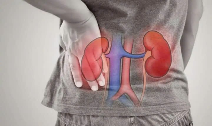  Chức năng thận suy giảm, cơ thể sẽ không đào thải kịp độc tố, dẫn đến nhiều rối loạn âm thầm nhưng dai dẳng. Ảnh minh họa