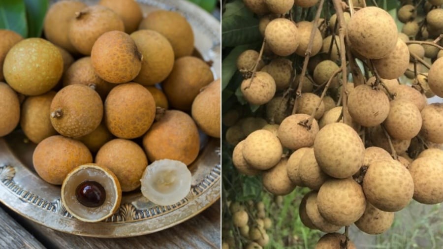  Nhãn mua về không nên bỏ vào tủ lạnh ngay. Nếu muốn bảo quản nhãn được lâu, bạn nên cắt rời từng quả rồi mới cho vào hộp.