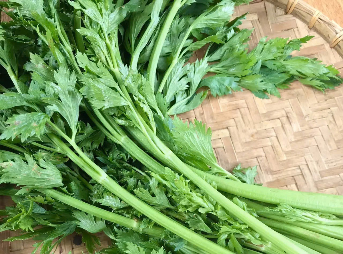 Không chỉ là rau xanh, cần tây còn hỗ trợ thanh lọc gan hiệu quả. Ảnh minh họa