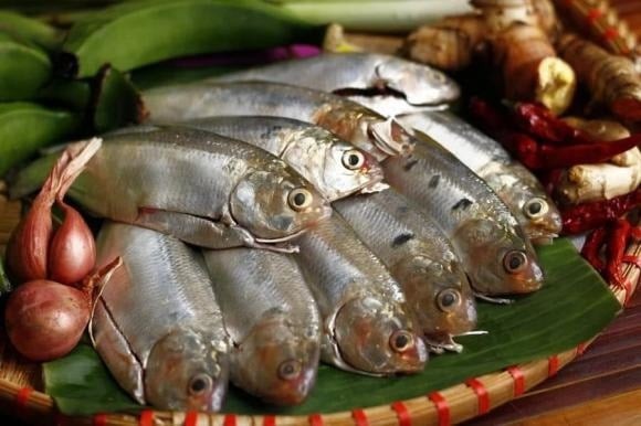  Nhỏ bé nhưng “lợi hại”, cá mòi nổi bật nhờ hàm lượng dồi dào omega-3, protein, canxi, magie, phốt pho và kẽm.