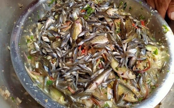 Gỏi cá nhảy đặc sản lạ lùng của người Thái ở Sơn La. Ảnh Baophunuvietnam