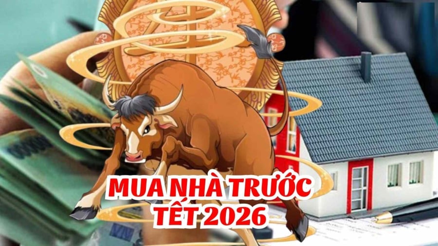 Tết Bính Ngọ 2026: 4 tuổi Vượt Khó thành công, Bội Thu Tài Lộc