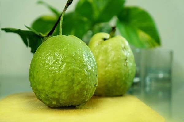 Quả ổi còn được coi là siêu trái cây bởi vô số lợi ích cho sức khỏe con người. Ảnh minh hoạ/internet