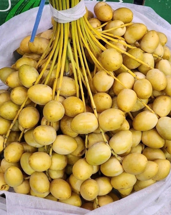 Chà là tươi nguyên cành giá chỉ từ 69.000 -150.000 đồng/kg