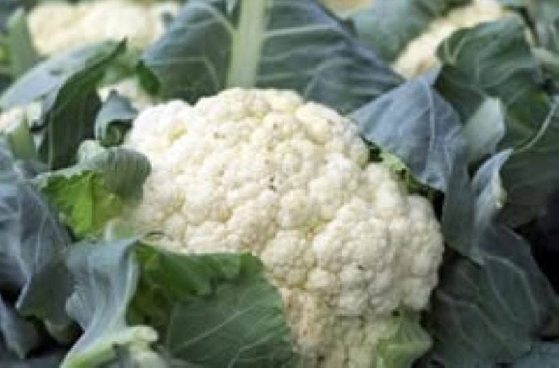 Súp lơ trắng chứa sulforaphane giúp bảo vệ tế bào da - Ảnh BSCC